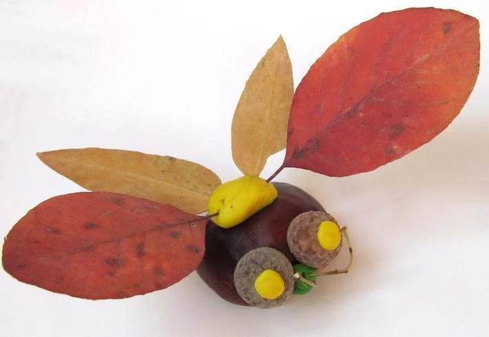 DIY efterårshåndværk fra blade (alle nye ting til børnehave og skolebørn) etape 40