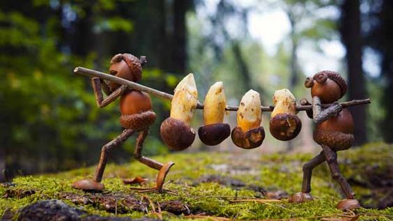 Remeslá z listov na jesennú tému: nové položky, fotografie krok za krokom, videá