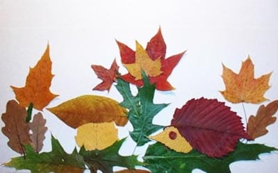 Maling af blade med pindsvin, svamp og skov