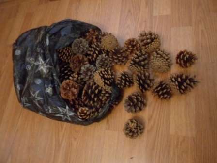 Ενδιαφέροντα γεγονότα Bud: