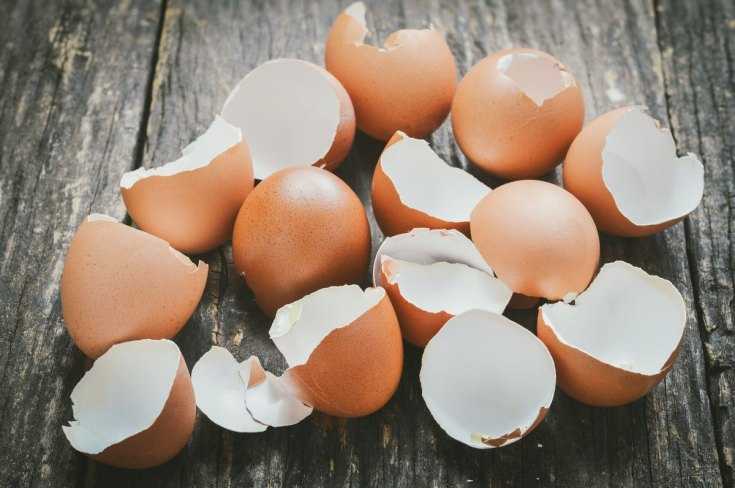 Χειροτεχνία με κέλυφος αυγού: παραδείγματα φωτογραφιών των καλύτερων έργων και περιγραφή της κατασκευής τους