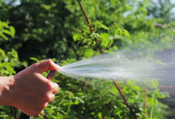 Η αρχή της άρδευσης δημιουργώντας τεχνητή δροσιά