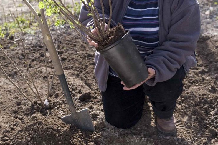 Πώς να επιλέξετε μια τοποθεσία παραλαβής