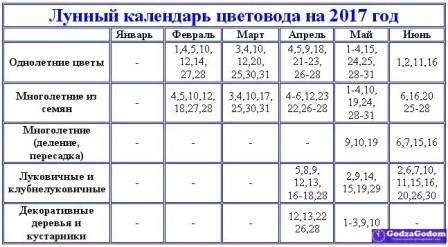 Οι ειδικοί κατέληξαν στο συμπέρασμα ότι δεν συνιστάται η φύτευση φυτών κατά τη διάρκεια της νέας σελήνης, όταν το ίδιο το φεγγάρι αρχίζει να μεγαλώνει. Σύμφωνα με κριτικές, παρατηρήθηκε ότι οι φυτεύσεις στη νέα σελήνη είχαν αργή ανάπτυξη και συχνά οδήγησαν στο θάνατο των φυτών.