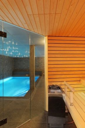 مشروع حمام مع حوض سباحة: أمثلة التصميم