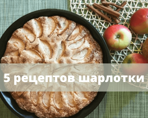 5 وصفات لشارلوت بالتفاح في الفرن: سريعة وبسيطة ولذيذة
