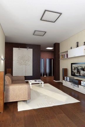 Ремонт на антрето в апартамент с площ 18 кв. m: оформление и зониране на пространството