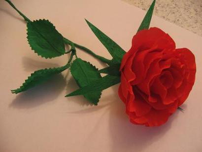 DIY bølgepapirroser Gør-det-selv bølgepapirroser trin for trin