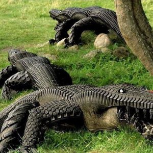 Krokodíly z automobilových pneumatík