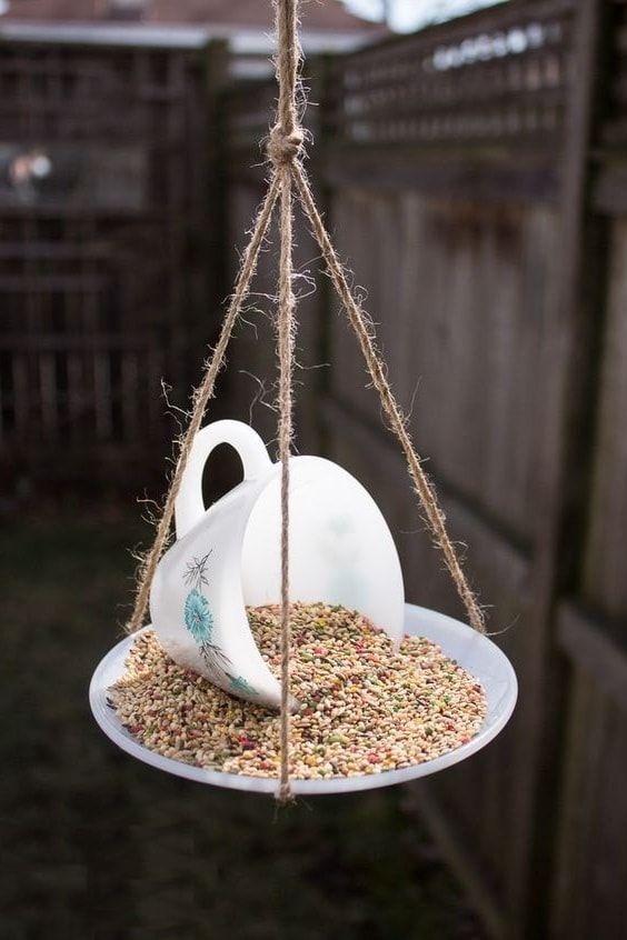 Netradičné kŕmidlo pre vtáky z čajovej podšálky