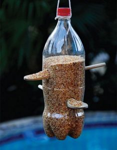 تغذية الطيور من زجاجة بلاستيكية