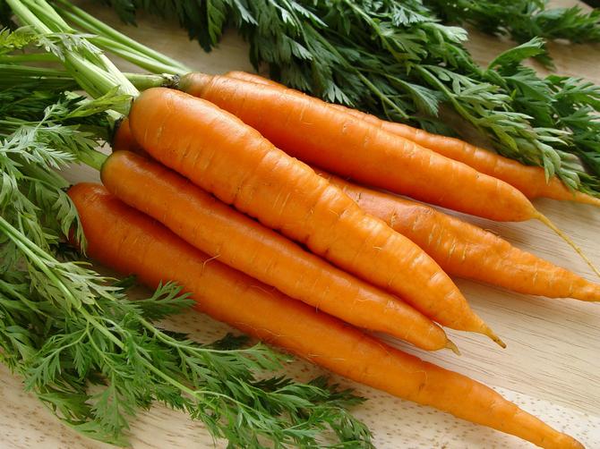Parhaat porkkanalajikkeet lapsille syödä paljon ja olla onnellisia