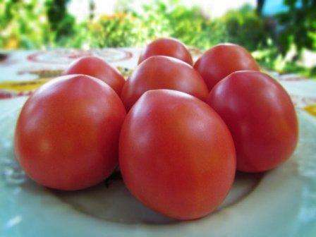 Podľa popisu rajčiaka Budenovka je táto odroda odolná voči rôznym chorobám. Súčasne odporúča pravidelné spracovanie rastliny a hnojenie kríkov, aby sa dosiahol maximálny výnos. R.