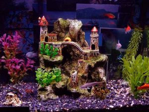 Hjemmelavede akvarier-tilgængelig for alle: et gør-det-selv akvarium derhjemme: hvordan man laver glas, hvordan man limer, video