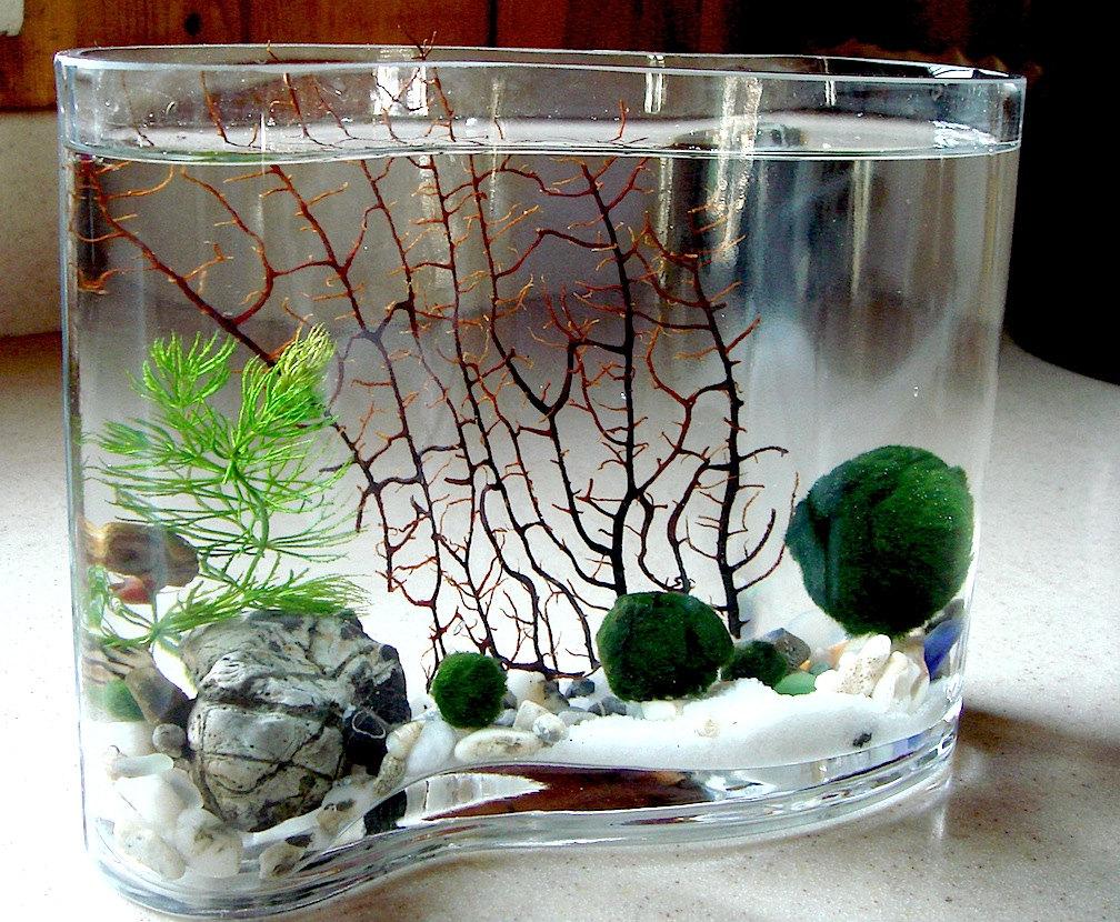 Indretning til akvarium i en vase