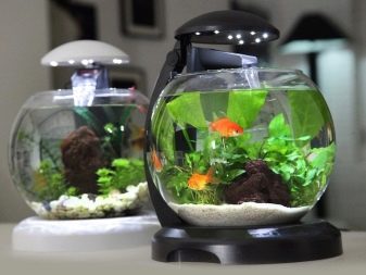 أحواض السمك محلية الصنع - متاحة للجميع: حوض أسماك افعلها بنفسك في المنزل: كيفية صنع الزجاج ، وكيفية الصمغ ، والفيديو