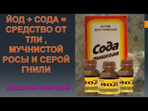 ΙΟΔΙΟ + ΣΟΔΑ = ΥΠΕΡΟΧΟ ΔΙΑΔΡΟΜΙΚΟ ΓΙΑ ΑΦΙΔΕΣ .. ωίδιο και γκρίζα σήψη. Vselennaya uvlecheniy