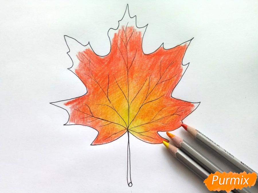 Πώς να σχεδιάσετε ένα φύλλο σφενδάμου με χρωματιστά μολύβια - βήμα 5