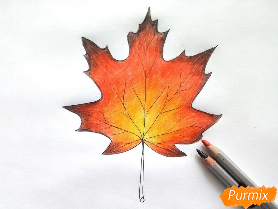 Πώς να σχεδιάσετε ένα φύλλο σφενδάμου με χρωματιστά μολύβια - βήμα 6