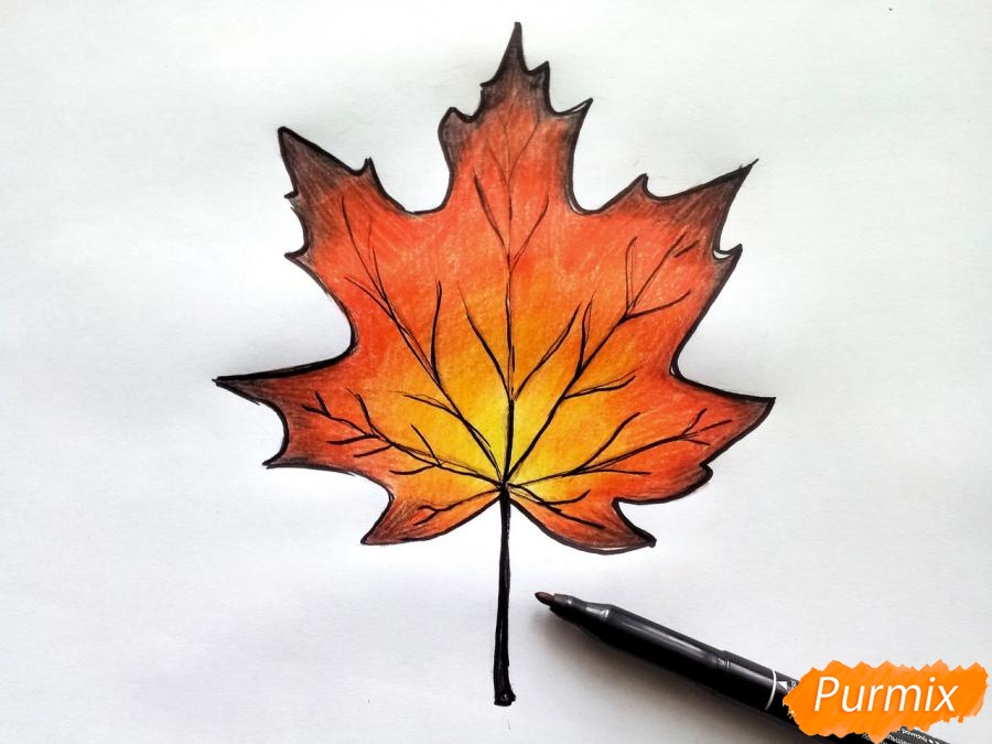 Πώς να σχεδιάσετε ένα φύλλο σφενδάμου με χρωματιστά μολύβια - βήμα 7