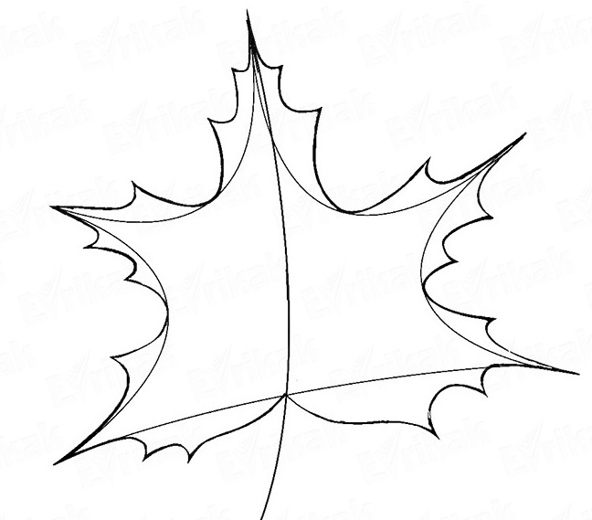 En skabelon til at tegne og skære et ahornblad - hvordan man tegner et ahornblad, tegner et ahornblad i etaper