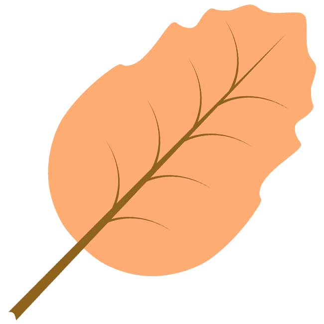 Φθινοπωρινά φύλλα: εικόνες, πρότυπα, στένσιλ