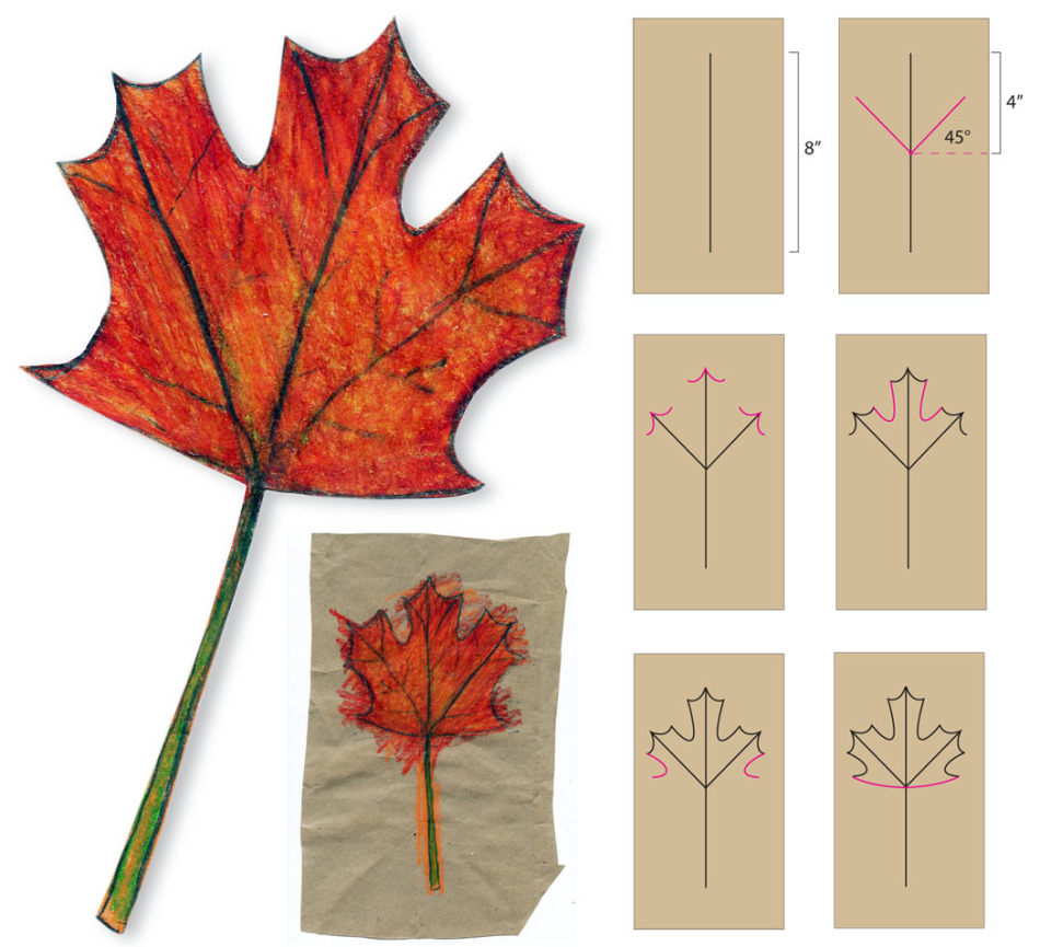 Ένα πρότυπο για το σχέδιο και το κόψιμο ενός φύλλου σφενδάμου - πώς να σχεδιάσετε ένα φύλλο σφενδάμου, σχεδιάστε ένα φύλλο σφενδάμου σταδιακά