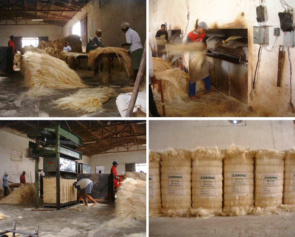 Sisal behandling