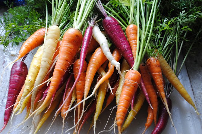 De vigtigste sorter af gulerødder
