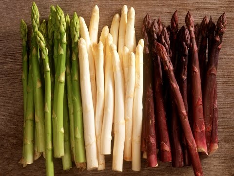 DEN BEDSTE OG LETTE MÅDE AT SEE ASPARAGUS TIL FRØ!