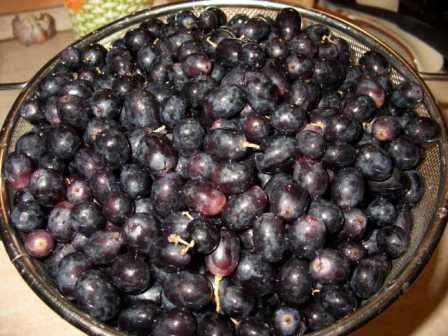 Der er også en metode til tørring af druer ved hjælp af ovnen.