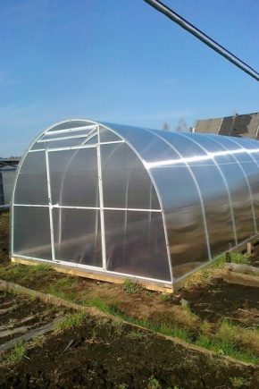 Greenhouse