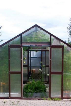 البيوت الزجاجية البيت الزجاجي: مميزات وفوائد التصاميم