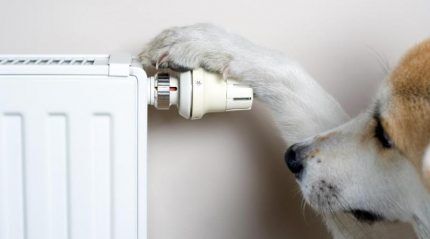 Temperaturregulering af radiatoren med et termisk hoved Fjernbetjent sensorhoved