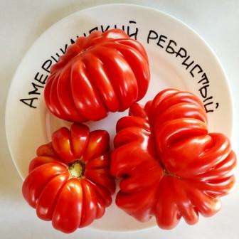 Αμερικανική ριγωτή ντομάτα: χαρακτηριστικά και περιγραφή της ποικιλίας