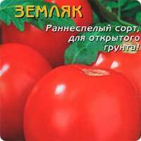 Tomato Countryman: χαρακτηριστικά και περιγραφή της ποικιλίας, πώς να αναπτυχθεί, φωτογραφία