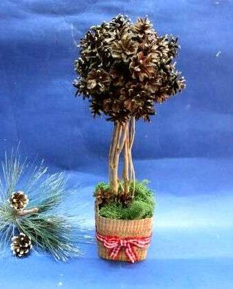 Topiary of cones ، صف دراسي رئيسي خطوة بخطوة مع صورة