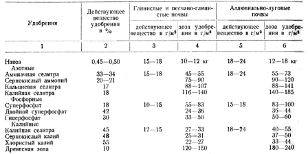 Κατά κανόνα, το έδαφος για τον κήπο δεν καλλιεργείται, πράγμα που σημαίνει ότι είναι απαραίτητο να ληφθεί σοβαρά υπόψη η προετοιμασία του εδάφους για τη φύτευση ενός συγκεκριμένου δέντρου.