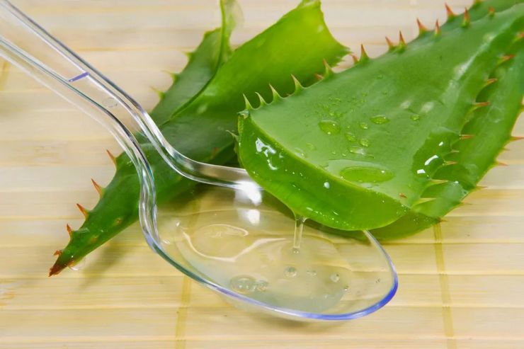 Aloe juice