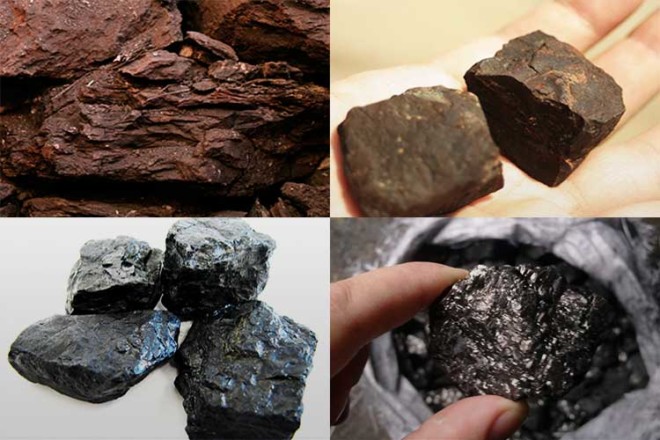 الفحم للموقد: قواعد الاختيار ، أيهما أفضل ، الحساب ، التكلفة