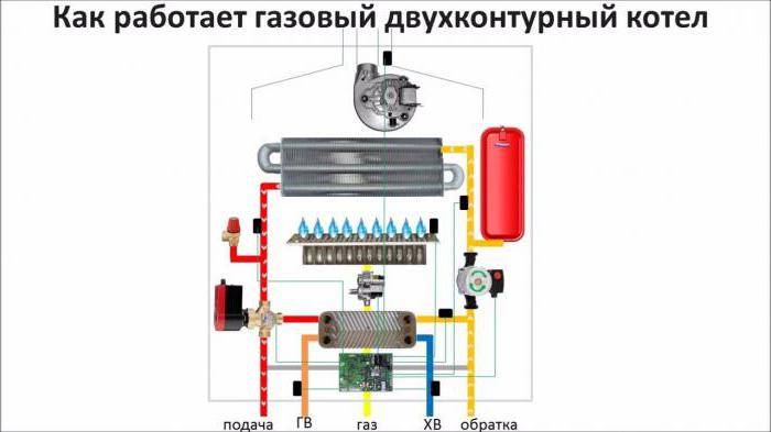 Ako funguje dvojokruhový plynový kotol: popis zariadenia a zapojení