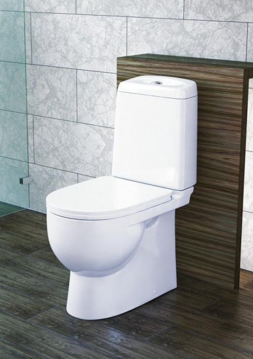 Sådan vælger du det rigtige toilet: råd fra en erfaren blikkenslager og en liste over gennemprøvede modeller