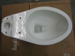 Faience -wc