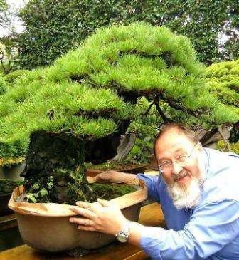 Polievanie bonsai je časté, aj keď nie veľmi bohaté. Nie je možné si nevšimnúť, že požadované množstvo vlahy závisí aj od plemena, pretože, ako iste viete, ihličnaté stromy potrebujú menšiu porciu vody ako
