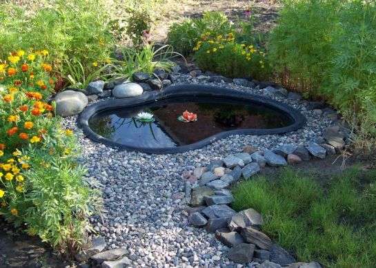ako ozdobiť rybník na vidieku foto
