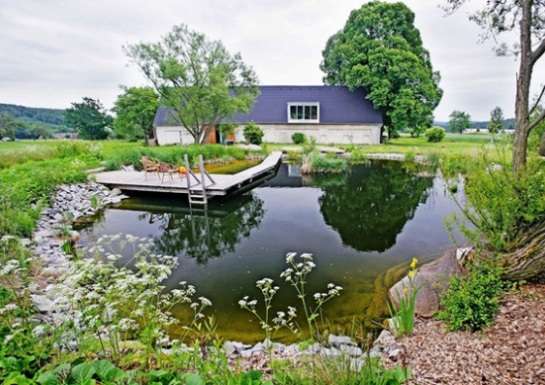 kuinka koristella lampi maassa omin käsin