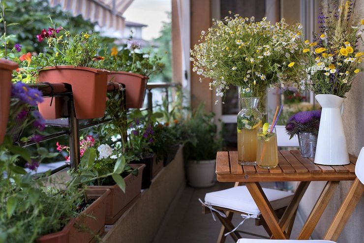 Klatreplanter til altanen: hurtigt voksende, flerårige og årlige blomster