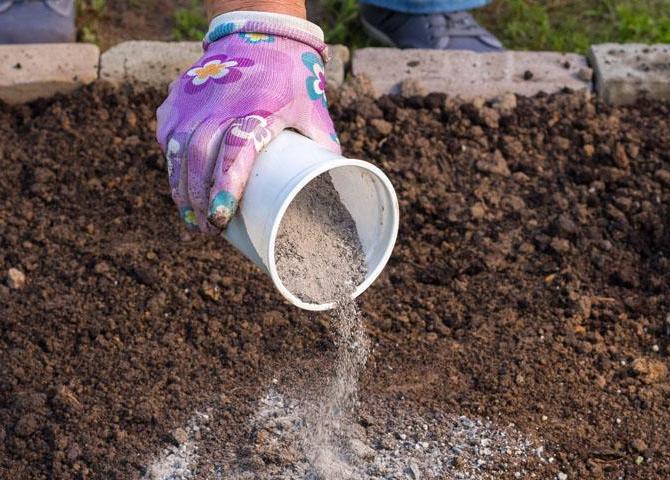 Popol ako hnojivo a nielen: použitie popola v záhrade
